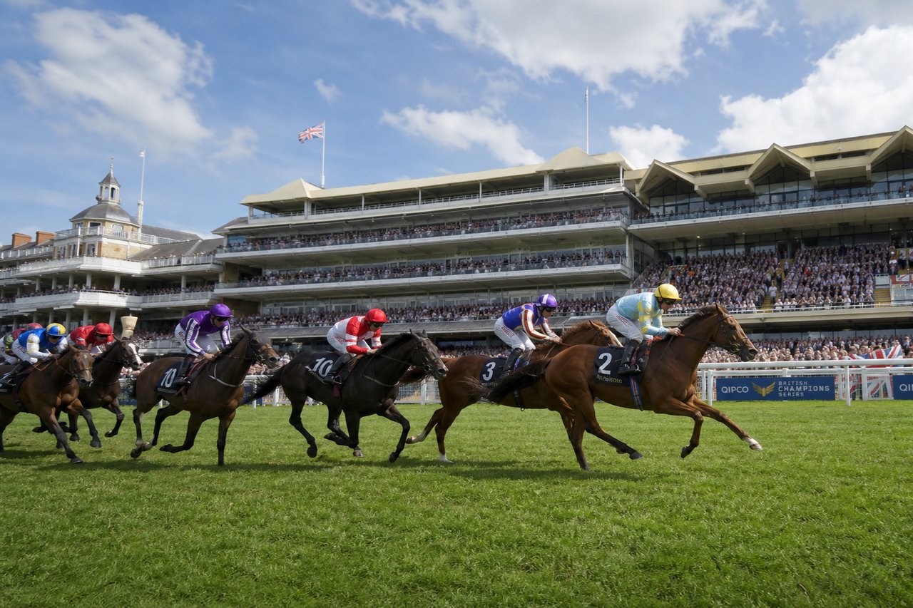 UK thoroughbred horse racing at dawn